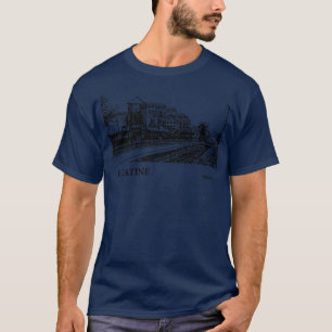 Palatine Illinois TShirt 3 T Shirt