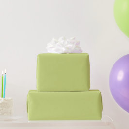 Pale Lime Green Spring And Summer Trending Color Presentpapper