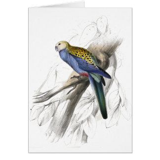 Paleheaded Parrakeet av Edward Lear Hälsningskort