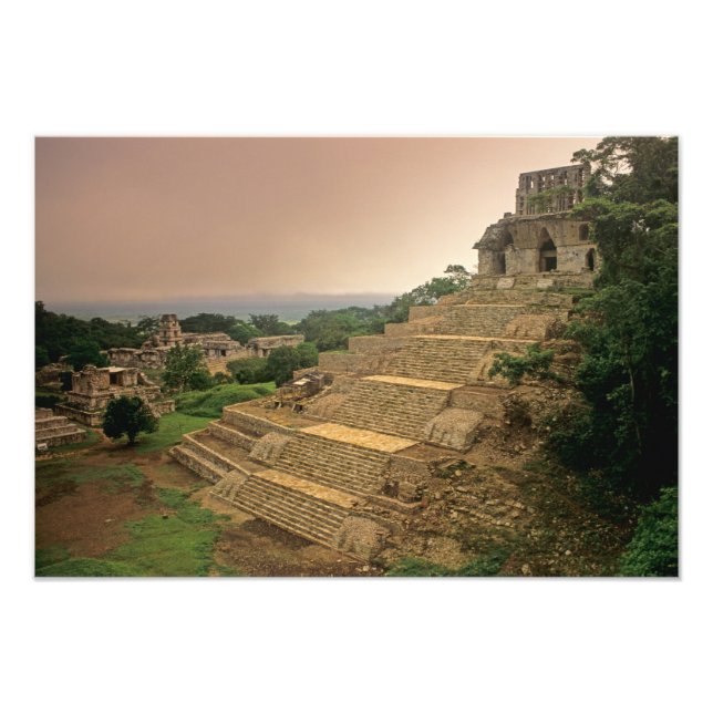 Palenque, Chiapas, Mexiko, Maya Fototryck (Framsidan)