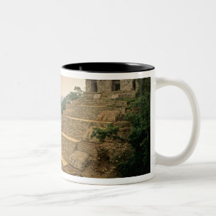 Palenque, Chiapas, Mexiko, Maya Två-Tonad Mugg