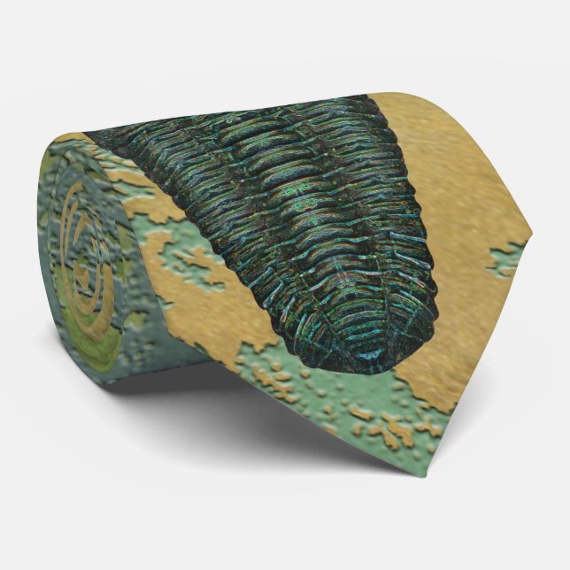 "Paleo-chic" Calymene Niagarensis Trilobite Slips (Rullad)