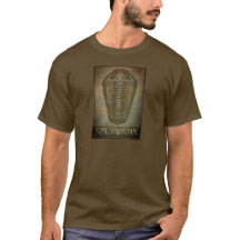 Paleo-chic Calymene Sepia Trilobit