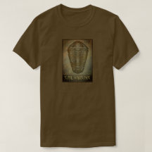Paleo-chic Calymene Sepia Trilobite