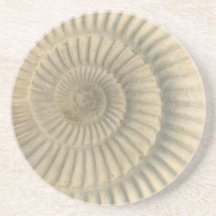 "Paleo-chic" Perisphinctes Ammonite Trinket Tray Underlägg