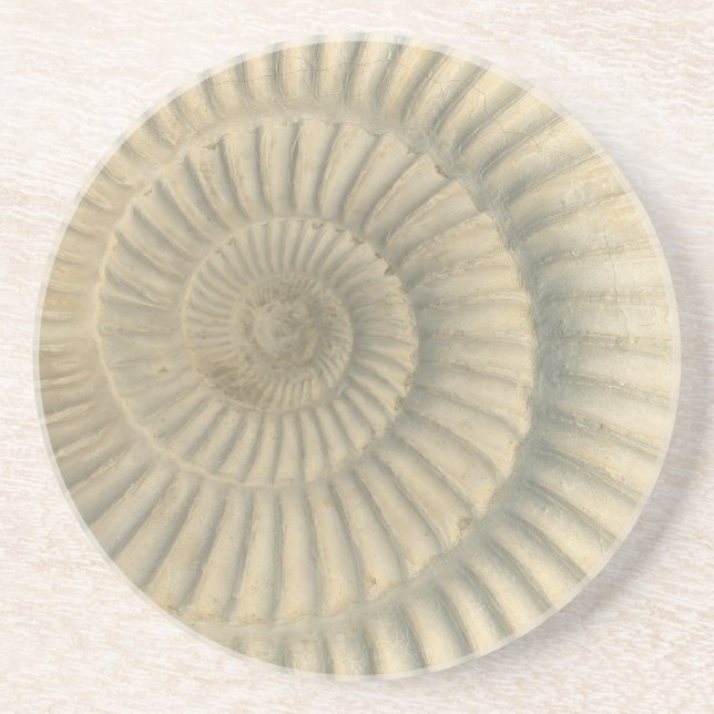 "Paleo-chic" Perisphinctes Ammonite Trinket Tray Underlägg (Framsidan)