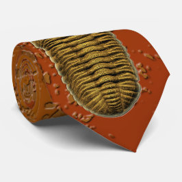 "Paleo-chic" Phacops Rana Fossil Trilobite Slips