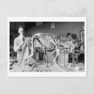 Paleontologi Scientist Baby Dinosaur Vintage Vykort