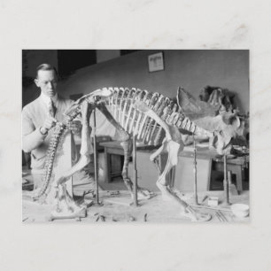 Paleontologi Scientist Baby Dinosaur Vintage Vykort