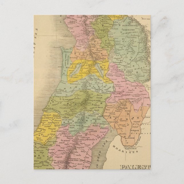 Palestina 3 vykort (Framsida)