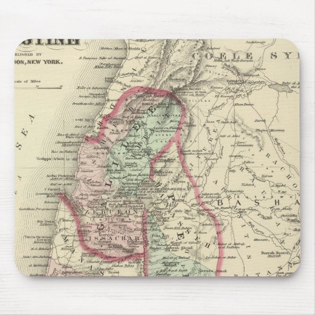 Palestina 4 musmatta (Framsidan)