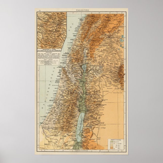 Palestina 4 poster (Framsidan)