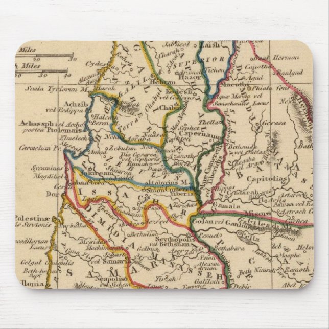 Palestina 5 musmatta (Framsidan)