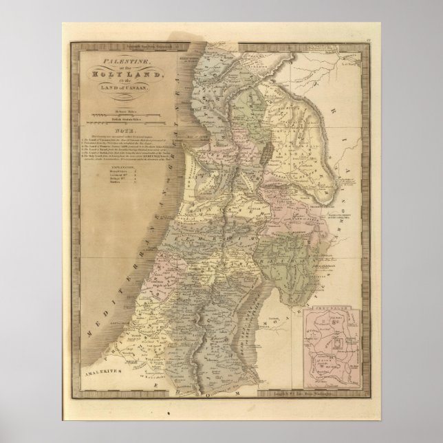 Palestina 5 poster (Framsidan)