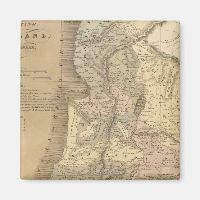 Palestina 6 magnet (Framsidan)