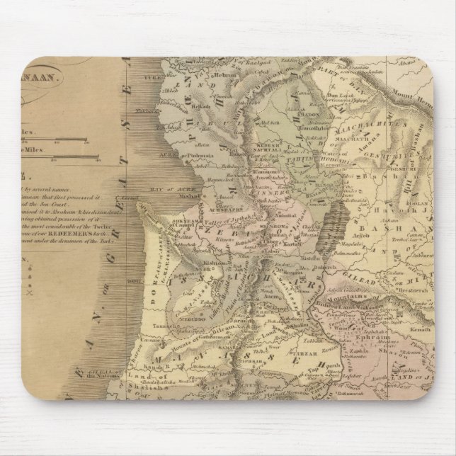 Palestina 6 musmatta (Framsidan)