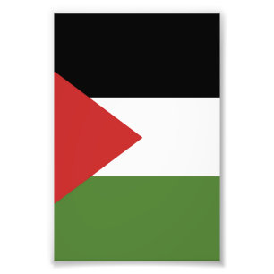 Palestina-flagga Fototryck
