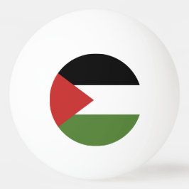 Palestina-flagga Pingisboll