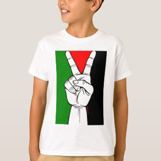 PALESTINA FLAGGAFREDSTECKEN TEE