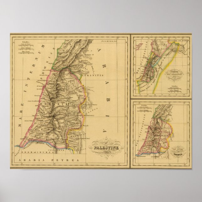 Palestina, Israel Poster (Framsidan)