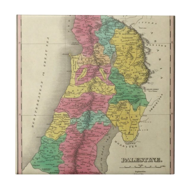 Palestina Kakelplatta (Framsidan)