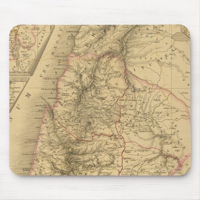 Palestina Musmatta (Framsidan)