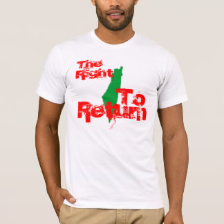 Palestina: Rakt till det återgångt Tee Shirt
