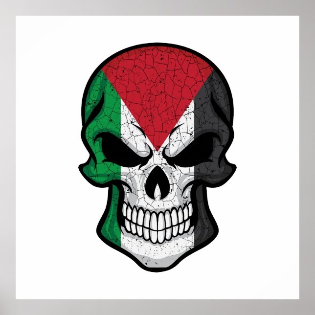 Palestine Smiling Skull Flagga Poster (Framsidan)