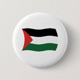 Palestinska myndighetens flagg- knapp