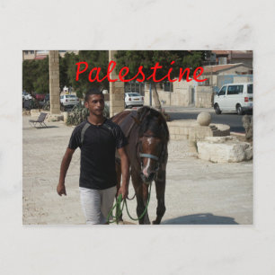 Palestinska riddare vykort