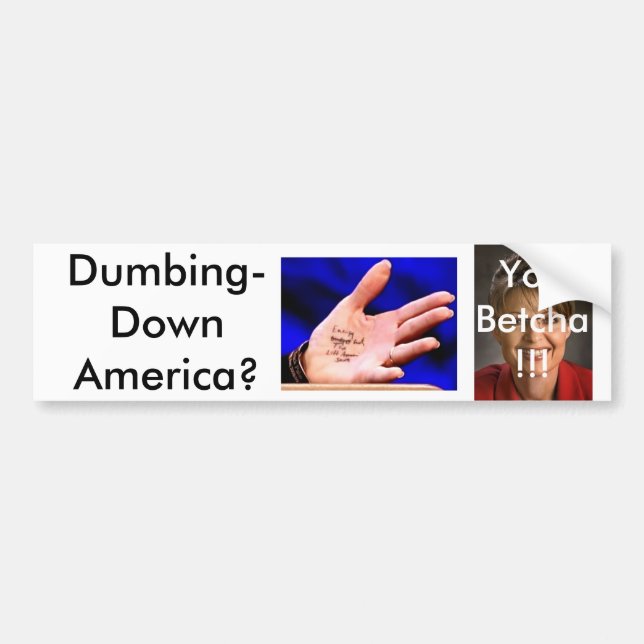 Palin3 Bildekal (Framsidan)