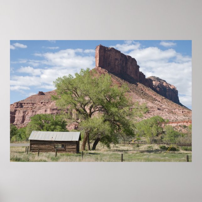 Palisade och Pioneer Cabin Poster (Framsidan)