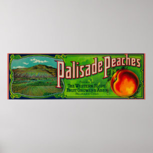 Palisadepersikaetikett Poster