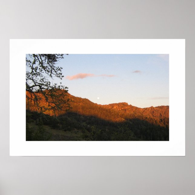"Palisades" Poster (Framsidan)