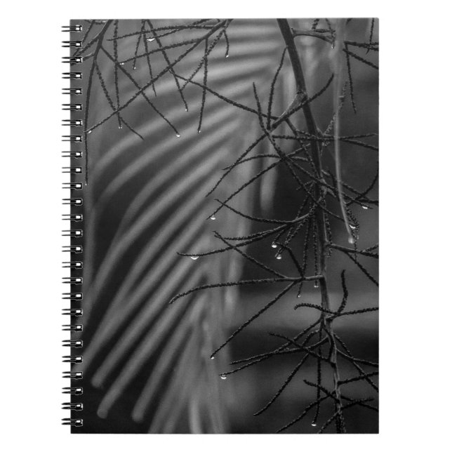Palm and rain Spiral Photo Notebook Anteckningsbok (Framsidan)