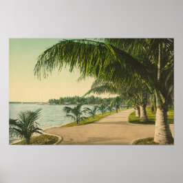 Palm Beach 1898 årgång Florida scen Poster