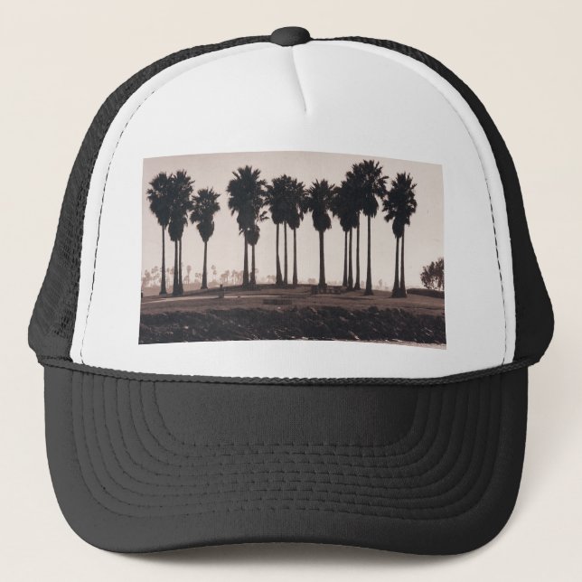 Palm Silhuetter Trucker Hatt Keps (Framsida)