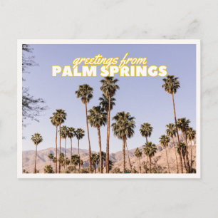 Palm Springs Palmer Retro Vintage Resa Vykort