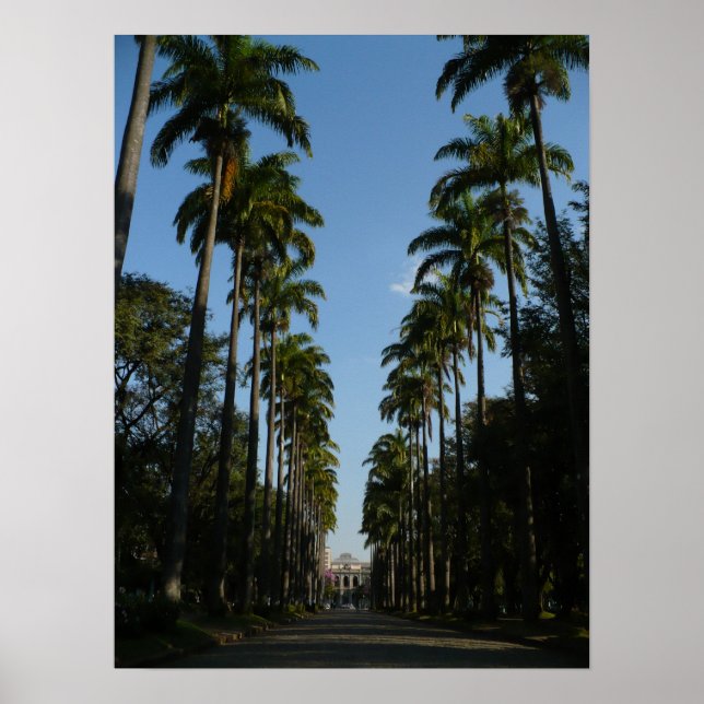Palm Tree Boulevard Poster (Framsidan)