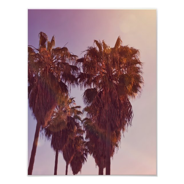 Palm Tree Heart Photo Fototryck (Framsidan)