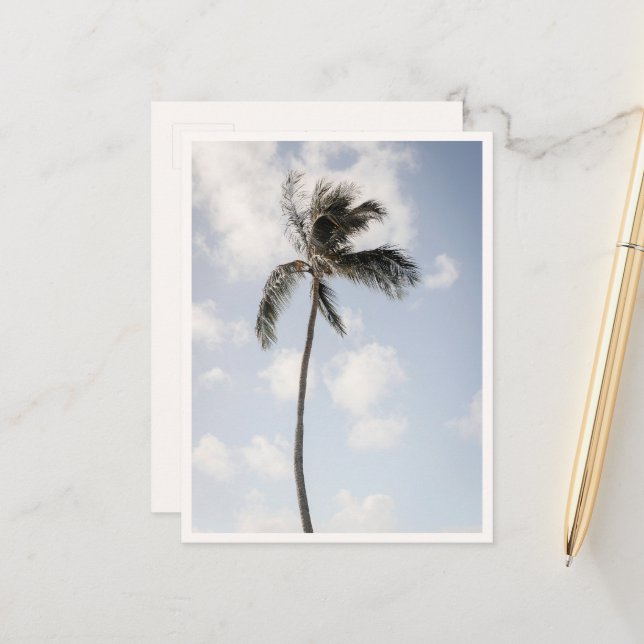 Palm Tree Photo Tropical Beach Hawaii Vykort (Fram/Back In Situ)