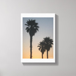 Palm Trees At Sunset Canvastryck