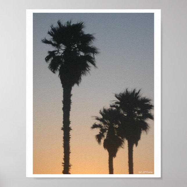 Palm Trees At Sunset Poster (Framsidan)