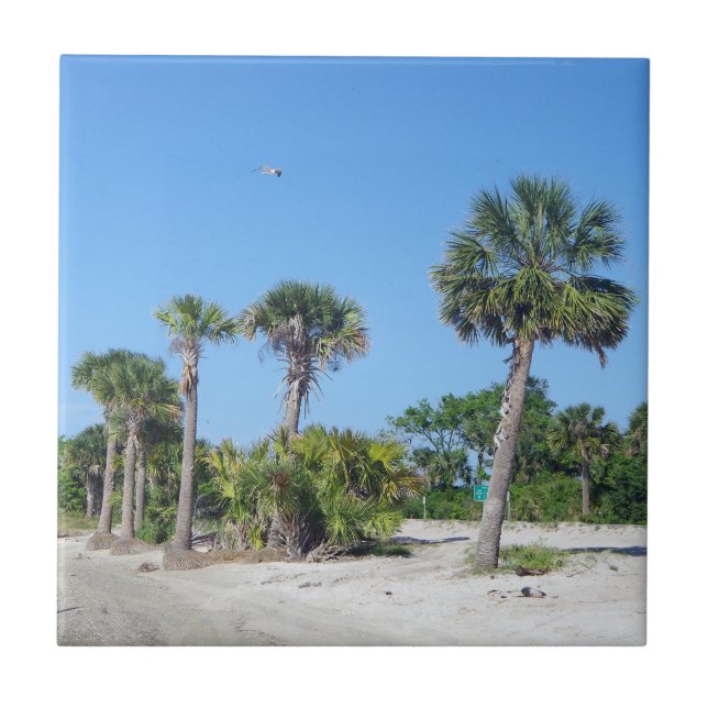 Palm Trees-plattan Kakelplatta (Framsidan)