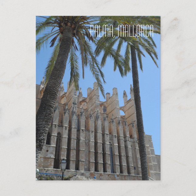 Palma Gothic Cathedral Majorca Spain Travel Vykort (Framsida)