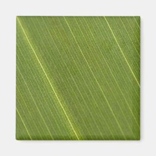 Palmblad Magnet