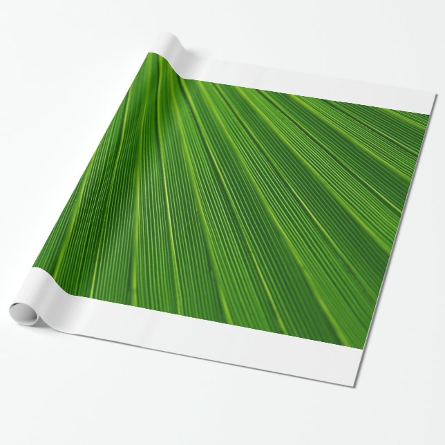 Palmblad Presentpapper (Utrullad)