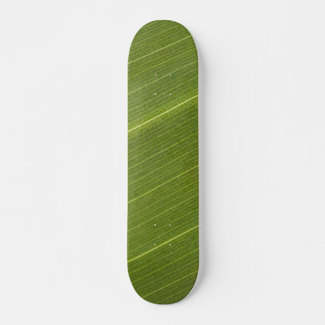 Palmblad Skateboard Bräda 20 Cm (Framsida)