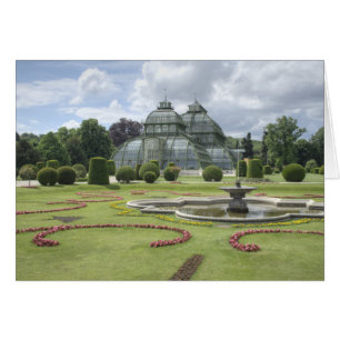 Palmenhaus Hälsningskort