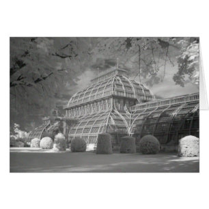 Palmenhaus Hälsningskort